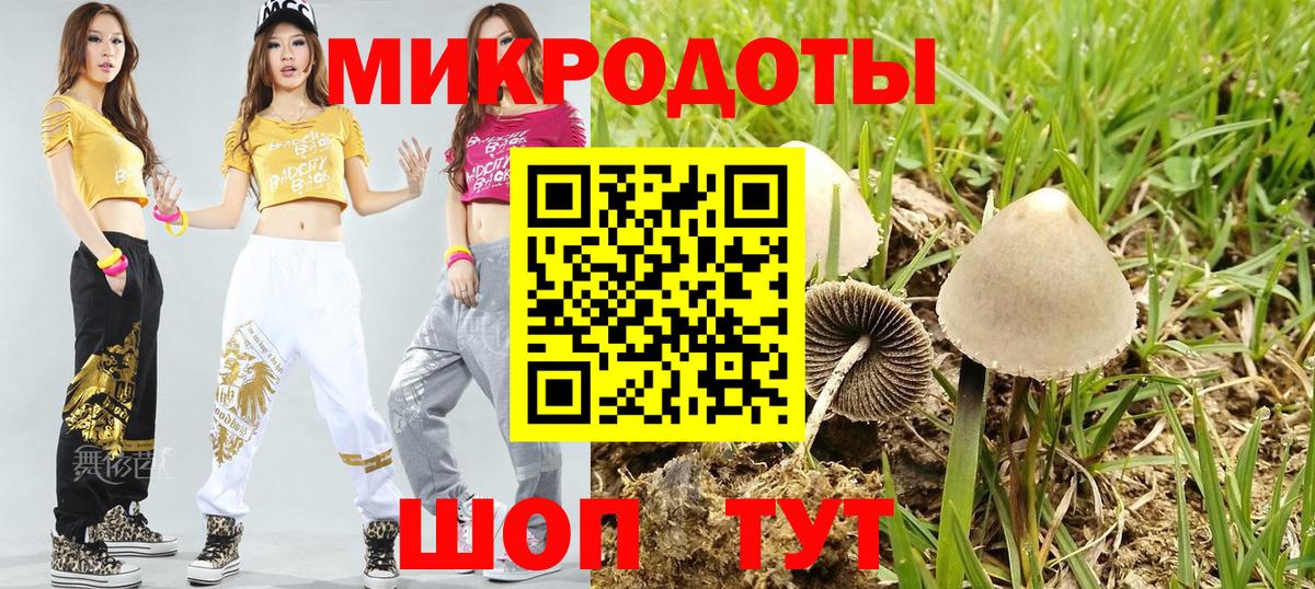 Галлюциногенные грибы мицелий Гай