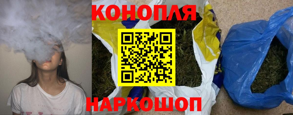 Канабис гибрид Гай